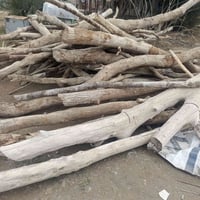 خشب • حملين • للبيع