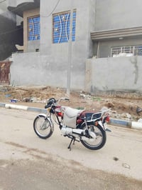 ٢٠٢٢ • اوراق كامله • طوريج