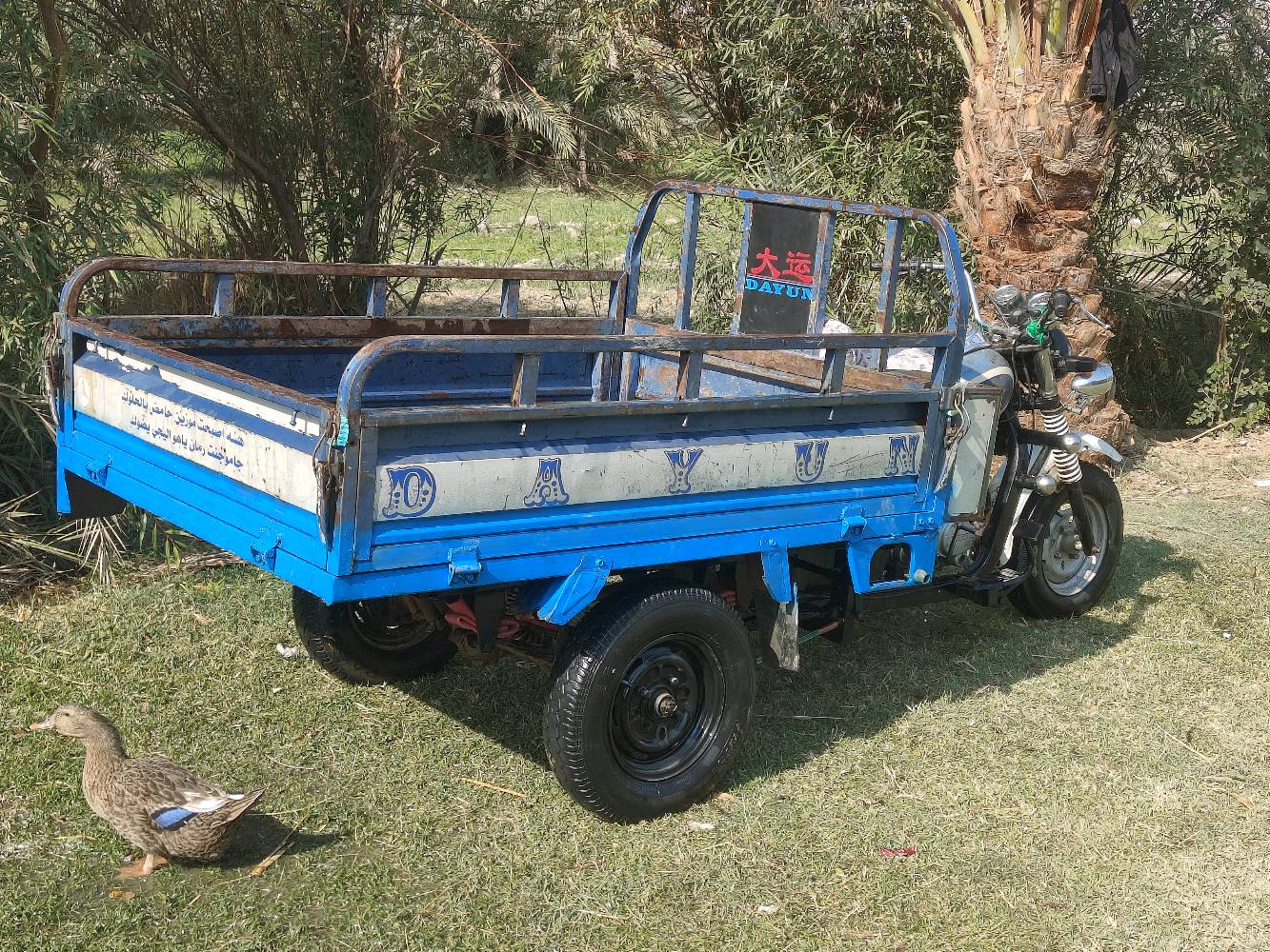 الناصريه شطره الجهل مديل 14 رقم وسنويه صاحب السنويه بلكوت يداورلك 