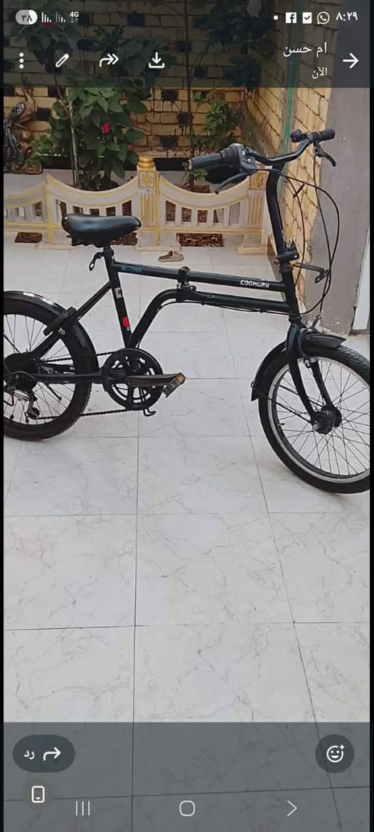 ذني لبيع صقير وتكبير شراء يجي على خاص


**إذا كنت صاحب هذا الإعلان وتريد حذفه لأي سبب، رجاءا أرسل رسالة إلى الدعم الفني**