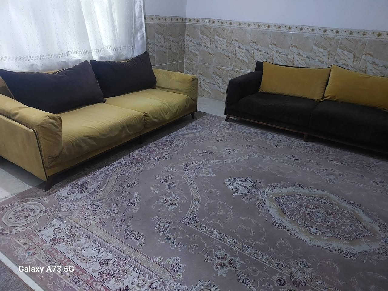 قنفتين تركي نظافة ٧٠%مع زوليه ايراني ١٢٠٠ شانه ثقيل ١٦٠ الف بيهه مجال


**إذا كنت صاحب هذا الإعلان وتريد حذفه لأي سبب، رجاءا أرسل رسالة إلى الدعم الفني**