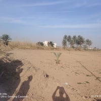 الدير • أرض • ٢٤م