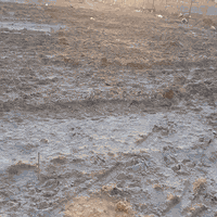 حي الجوادين • قطعة زراعية • ١٨٠م