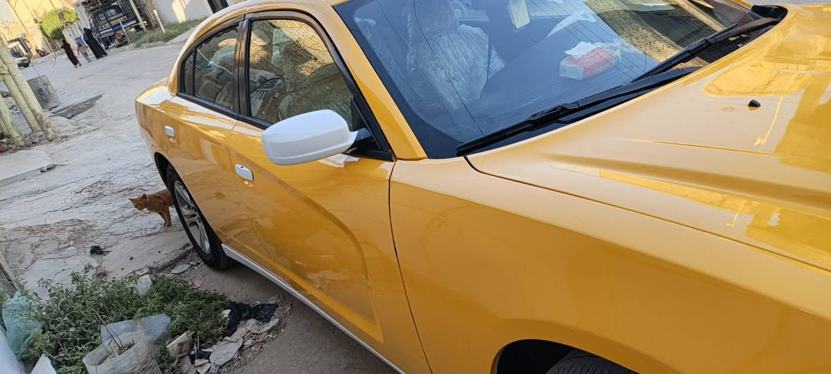 سلام عليكم جارجر ١٤
رقم بغداد بسمي

خط وبحث مصفرات موصل بغداد 

حادث سابقا كلين بس هسه بيهه جاملغ وبنيد جهت العبري 

كير مكينه كهربائيات مكفوله

تبريد منضومه جديده ثلج 

منضومه مي جديده +راديتر مال هيمي طك كارتون انسه حماوه 

غرفه بجيس وكلشي مبين بلفيديو 

صدر امامي خلفي +مشط ستيرن جديد 

سياره ما نقصهه برغي كبل للشارع 

#سعر ١٥٠ وبيهه مجال 

#سياره تشتغل عل خط حاليا يعني جاهزه 

***********بس واتس
