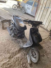 فراشة فحل • تعمير • بابل يم المرور