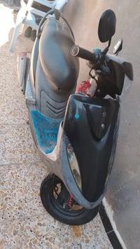 كارتون • ختم واحد • بصره تنومه