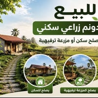 دونم • واجهة ١٧م • جسر ديالى