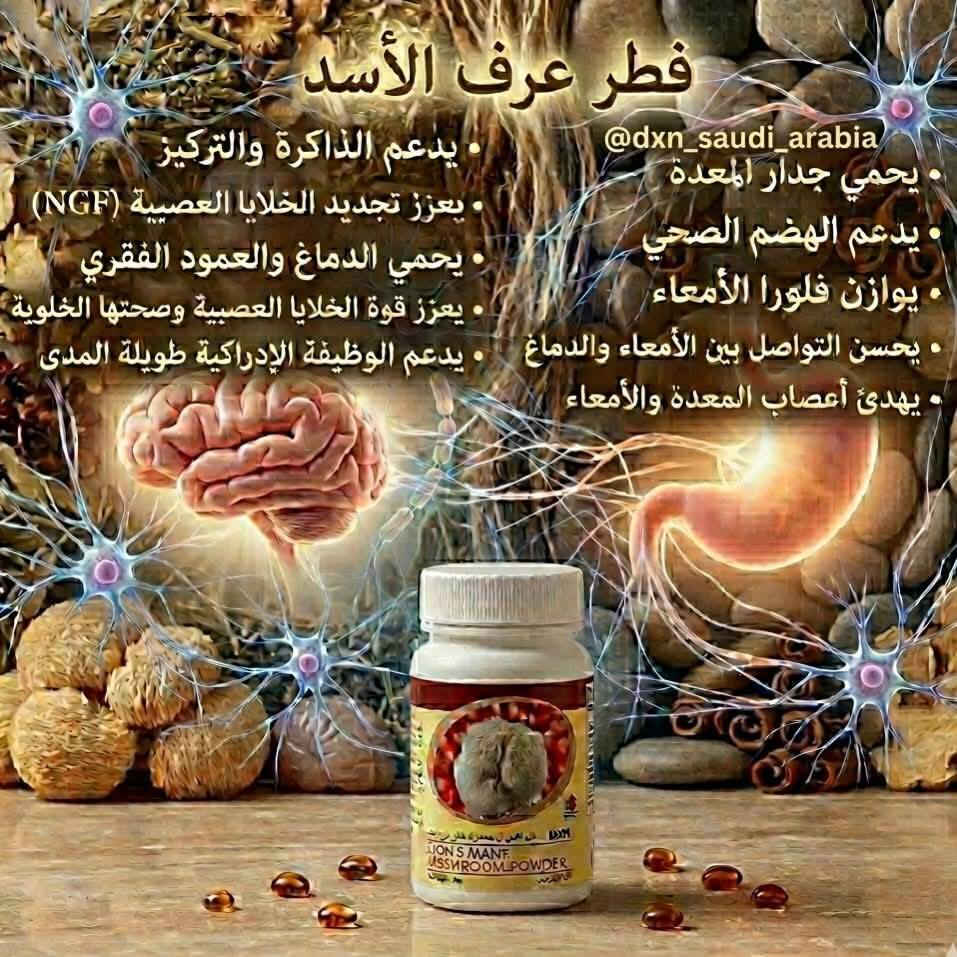 ملوك الاعشاب الفطر الريشي السبيرولينا عرف الاسد


**إذا كنت صاحب هذا الإعلان وتريد حذفه لأي سبب، رجاءا أرسل رسالة إلى الدعم الفني**