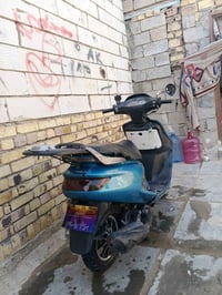 فراشة • سلف • نظيفه