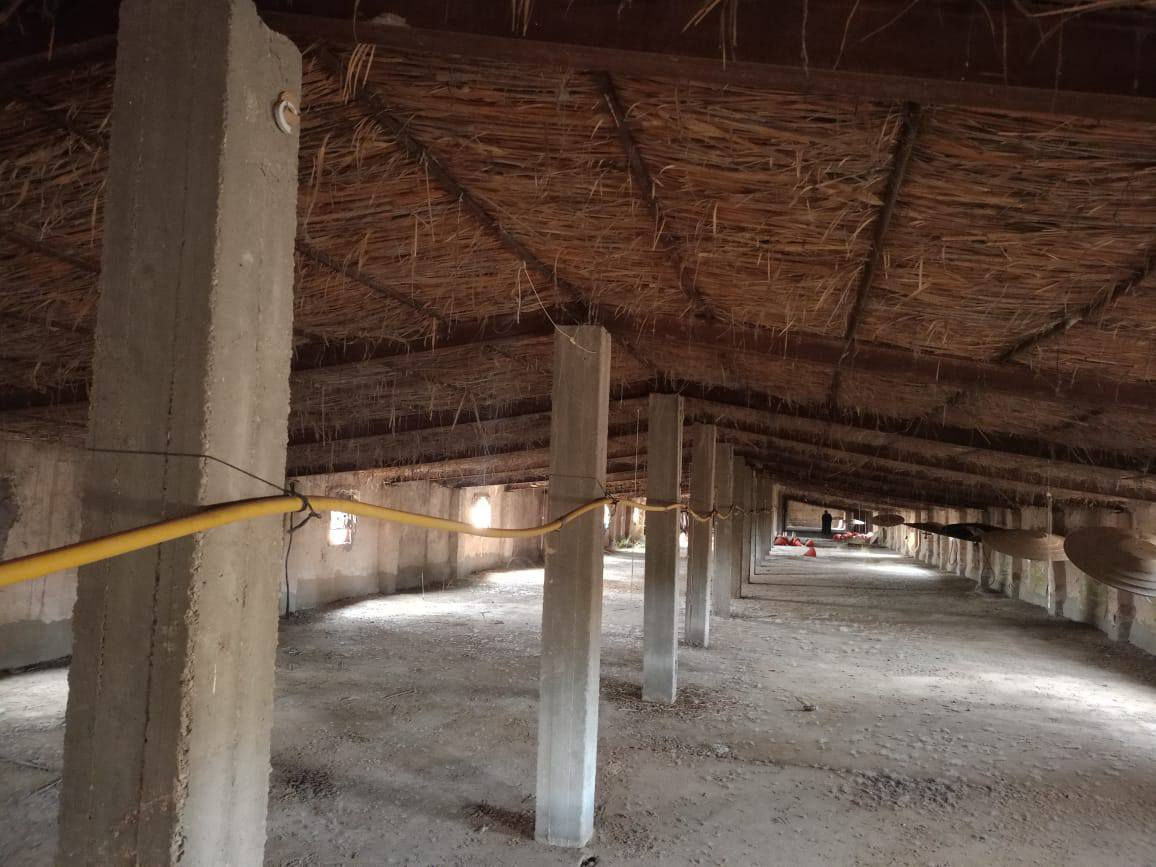 سلام عليكم شيش للبيع ابو النج اوركاني او شيلمان سباني شيش مال حقل او مكاني بابل بل كفل ولشراي ينتصل عله هاذ الرقم ***********

ادمن وافق
