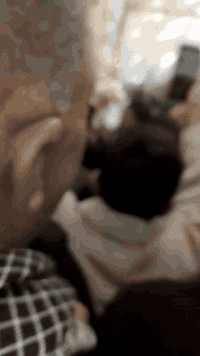 المساحه 320 الاتصال واتساب السعر 95 شارع استاذ حميد الرميثه وراء الملعب ثلاث غرف وبرانا 10 متر ومطبخ سته بخمسه حرب وارد وارش الارضيه مكمله من البيت ما عدا ا حمام صحيات ***********
