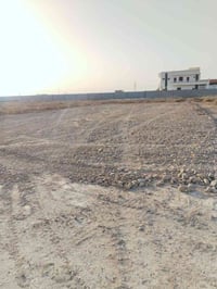 الرمادي الشراع • ٢٥٠م • طابو زراعي