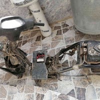 تفصيخ سبيسي • ياباني • كوت الشرقية