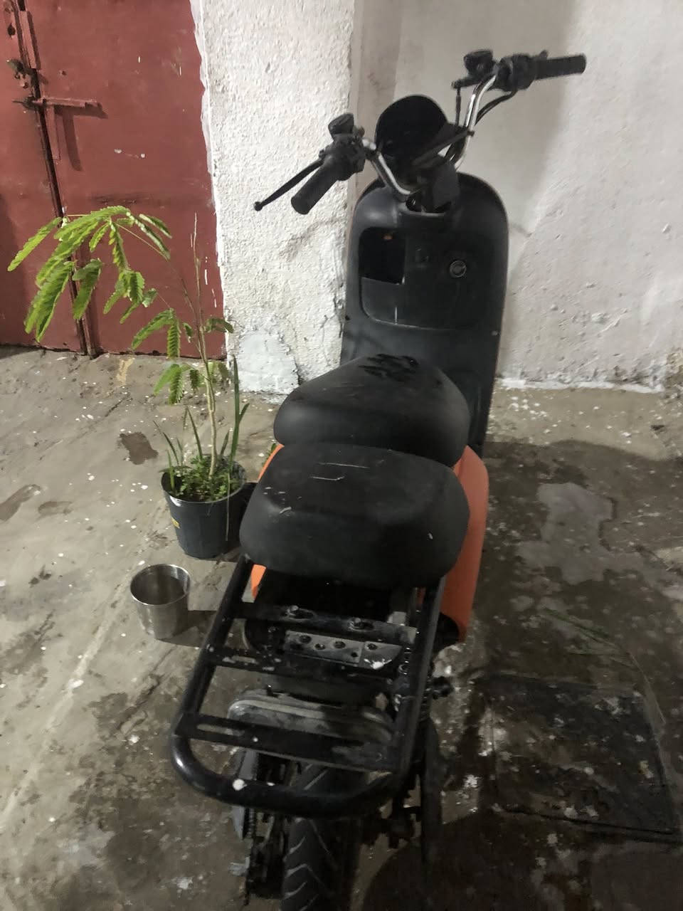 دراجه ريان مديل ٢٠٢٥ نضيفه بطاريات حجم٣٢ سعر ٣٢٥ بيه مجال كلش قليل اروس بموبايل ١٢ وفوك 
خوان فقط لايتات طاحت وفصلن تصلحهن بسيط سعر كلش مناسب *********** سعره ٣٢٥ بيع مجال قليل
