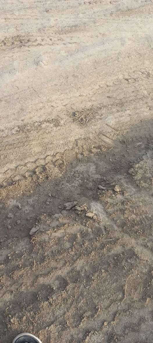 السلام عليكم كاع للبيع طابو زراعي سند ٢٥ خمس دوانم ماء كهرباء مقابيل معمل الزفت *********** ابيع كلهن السعر ٢٥ واني خادم
