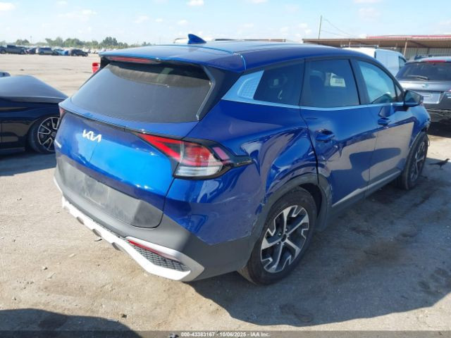 السلام عليكم سبورتج 25موعد الوصول يوم 3/18بسعر160 الى المنطقة الحرة  عمان تدخل حرة او الي عنده كتاب شهداء للتواصل ***********
