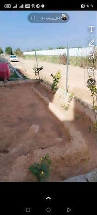 النزال 7 • 100م • وراء جامعة فريحة