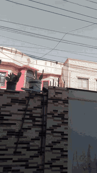 السلام عليكم دراجه ار 7 للبيع موديل 26  بطاريه 32 امبير بعد جديده كلش السعر 500 وبيها مجا عنوان بصره شارع القائد امن الداخلي اي استفسار متواجد واتساب، ***********
