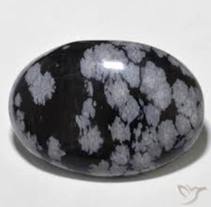 ✨ Snow Obsidian… The Protective Black & White Gem ❄️🖤
✨ حجر الأوبسيدان الثلجي… حجر الحماية والطاقة المتوازنة ❄️🖤
💎 الخصائص:
اللون: أسود مع بقع بيضاء طبيعية تشبه الثلج 🌨️
اللمعان: زجاجي ولمعان جذاب
الأصل: الولايات المتحدة، المكسيك، اليابان
🔹 الطاقة:
حجر الحماية من الطاقات السلبية ويعطي التوازن الداخلي والهدوء النفسي 🧘‍♂️💫
💍 الاستخدام في الحلي:
خواتم، قلائد، أساور… لمسة غامضة وفريدة لكل إطلالة 😍
💰 السعر:
من 15$ إلى 120$ للقيراط حسب الجودة
⚠️ معلومة مهمة:
حجر الأوبسيدان هش نسبيًا، يجب الحذر عند الاستعمال
👇 هل أعجبك هذا الحجر؟
اكتب رأيك في التعليقات 💬
📌 تابع صفحتنا لاكتشاف المزيد من الأحجار النادرة والفريدة 💎🔥


**إذا كنت صاحب هذا الإعلان وتريد حذفه لأي سبب، رجاءا أرسل رسالة إلى الدعم الفني**
