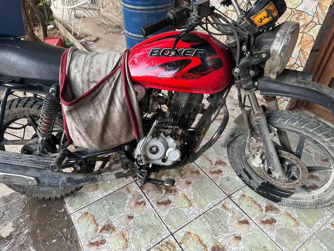 سلام عليكم بوكسر موديل 23 اوراق اصولي مجفته صارله خمسه ايام سعر مليون او ميه موديل 23


**إذا كنت صاحب هذا الإعلان وتريد حذفه لأي سبب، رجاءا أرسل رسالة إلى الدعم الفني**