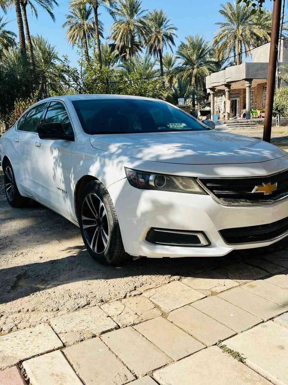 امبالا ٢٠١٦ سليمانيه***********
