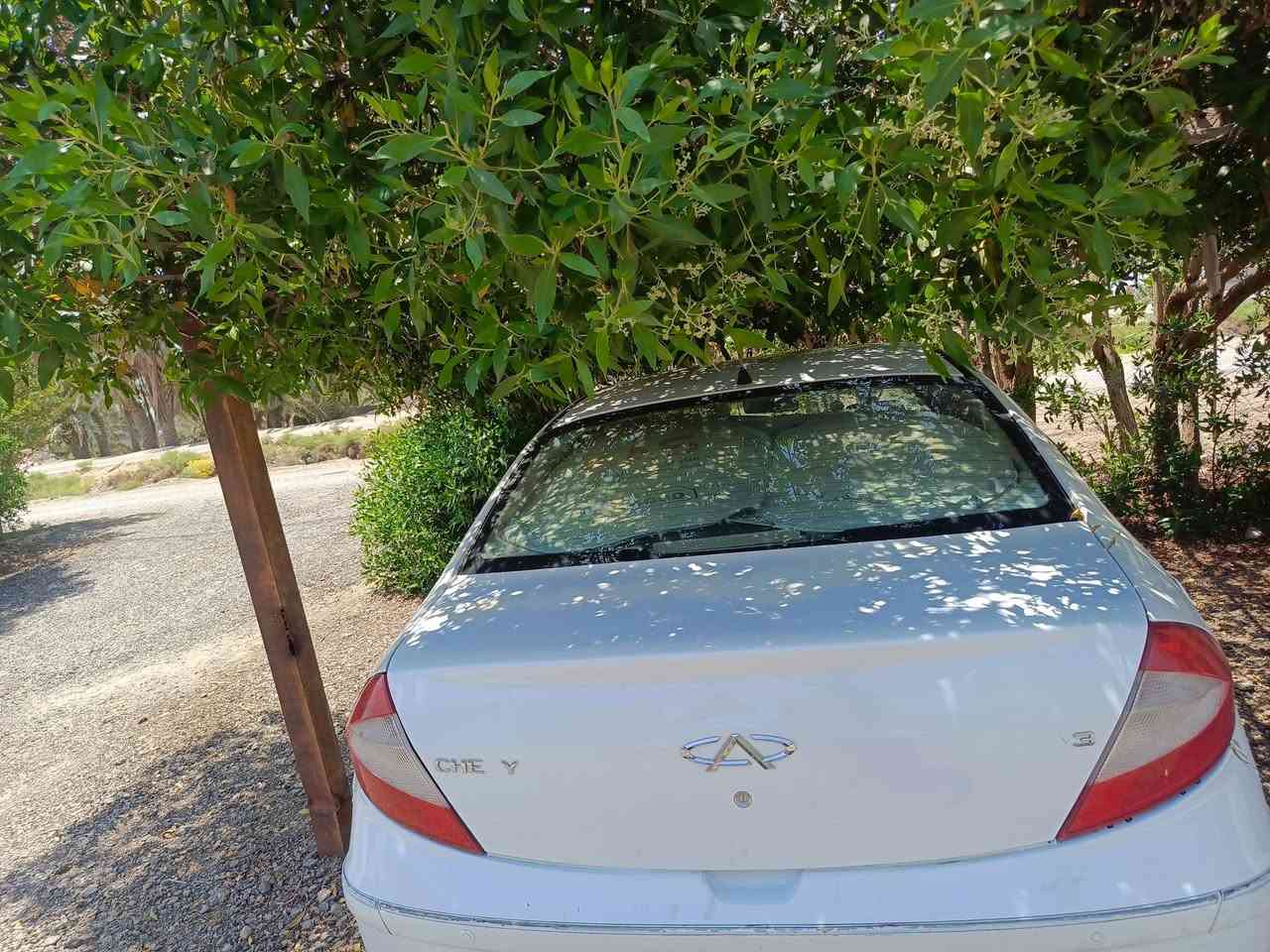 🚗 سيارة شيري A3
✅ مطلوبة للدولة (3M) والتسديد عبر الماستر كارد
✅ المحرك منقوص والباقي مكفول
✅ السيارة بحالة جيدة وسعرها مناسب
💰 السعر: 33 ورقة (قابل للتفاوض بالمعقول)
📍 الموقع: السماوة - الوركاء
📞 للاستفسار والاتصال: ‏‪0783 103 7123
