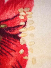 ١٨ حجر • حجر نجف • ناصرية