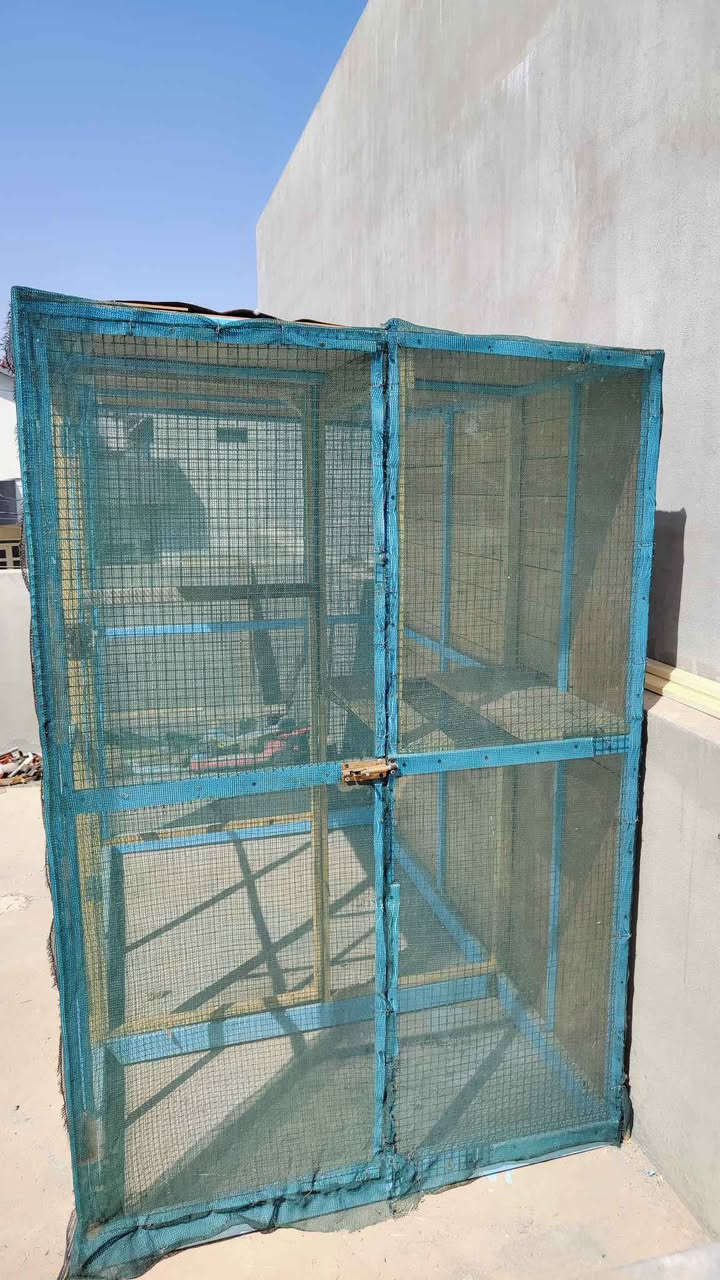 قفص لوك غير مستخدم  حديد + خشب طولها  2م و 30 سم ، نزال عمقها 1م و 30 سم ,  ارتفاعها 2متر ، بالامكان تفصيخها سعرها = ٣٧٥٠ الف ، عنوان كركوك - شوراو للتفاصيل او فيديو ارسل رسالة وتدلل كركوك, العراق


**إذا كنت صاحب هذا الإعلان وتريد حذفه لأي سبب، رجاءا أرسل رسالة إلى الدعم الفني**