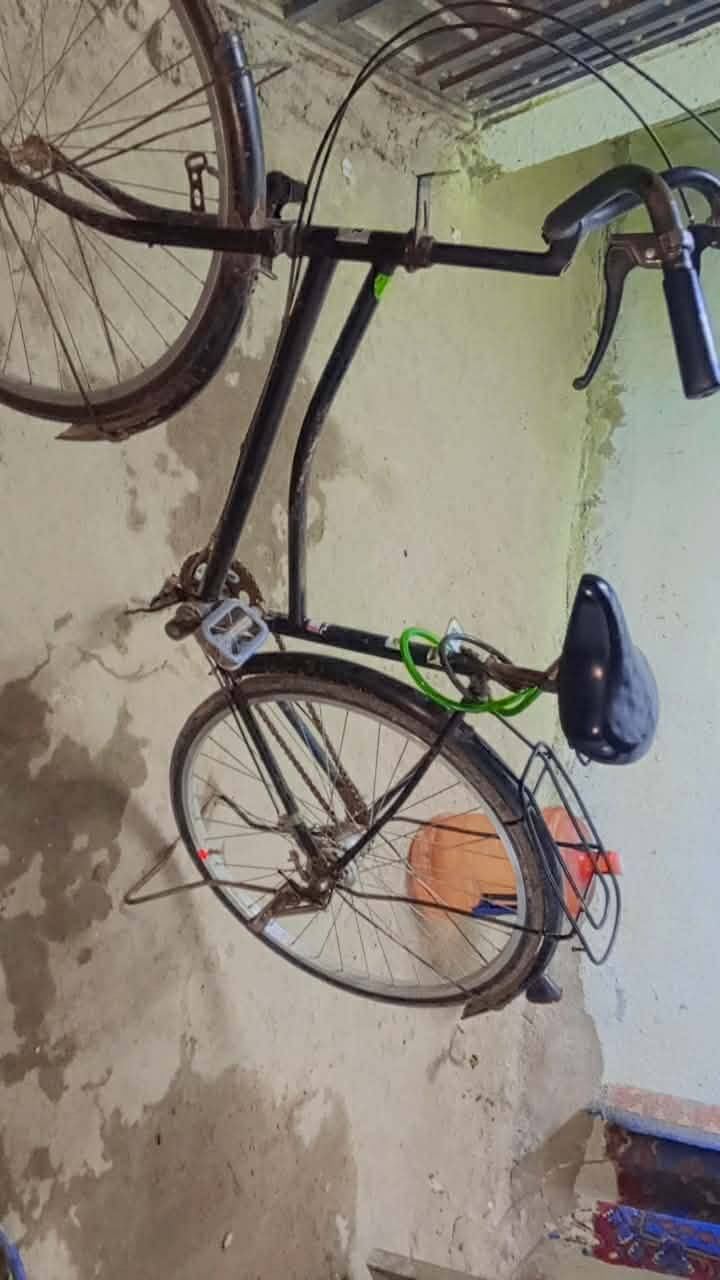 السلام وعليكم 👋 باسكل بناتي. حجم 26😮 وكير بي شغال 3 نمره + ويا سله تتخله صفح+ ويا جرس 🔔قوي. السعر $ 40 وبي مجال حك الجيه 👤 الله شاهد باسكل أحله من صوره شراي يجي خاص


**إذا كنت صاحب هذا الإعلان وتريد حذفه لأي سبب، رجاءا أرسل رسالة إلى الدعم الفني**