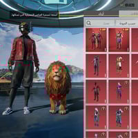 مراوس • ملحقات كمبيوتر