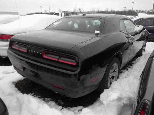 جالنجر 17
مكينه ٦

ماشيه ٩٠ ميل

السياره بدون ايرباك 

بيها جاملغ وشويه من البنيد

وهنا بيها جاملغ خلفي انصبغ 

والجاملغ الثاني صار بي بارد

موصفات عاديه

بأسم شركه تروح ثاني يوم تحول 

للبيع او مراوس حسب القناعه 
***********
