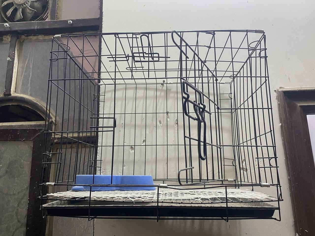 قفص جديد باب امامي وباب فوك وجرار تنضيف مكان نجف نصر


**إذا كنت صاحب هذا الإعلان وتريد حذفه لأي سبب، رجاءا أرسل رسالة إلى الدعم الفني**