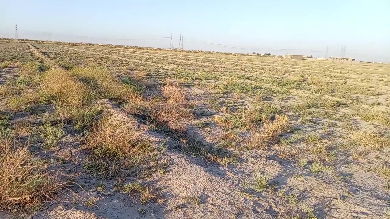 دوانم للبيع بسعر مناسب ٢٤ ابو عظام للتواصل ***********
