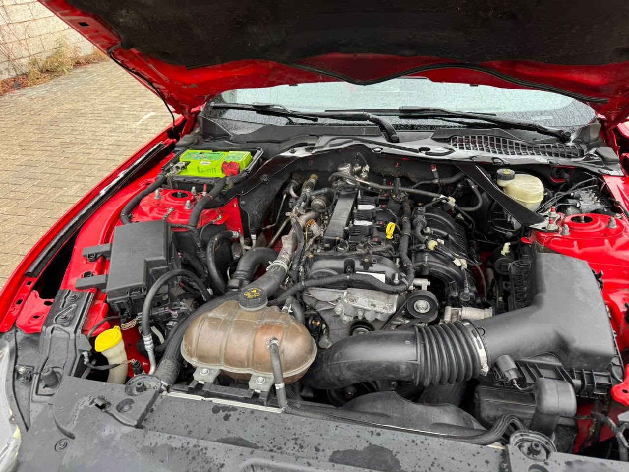 فۆرد مۆستانگ بۆ فرۆشتن 2015 ecoboost
سەنەوی تازە تا ۲٠۳٠
گێر و مەکینە بە شەرت
فولل جوانکاری یەکێک لە جوانترین مۆستانگەکانی کوردستان
سفری شەریکەی نیڤایە 
ماشەڵای ئەوێ لە جوانی
بێ بۆیاخ
110مایل ڕۆشتووە
کوشن کارەبا ۳مۆدی سوکان 
باتل شەفت
دەرگا لەمس هتد
نرخی ۱۳۳ گەلا مەجالێکی زۆر کەم
*********** السليمانية, العراق
