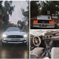 موستنج ايكو بوست • ٢٠١٥ • مراوس كركوك