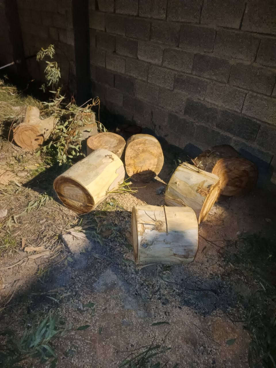 السلام عليكم حطب للبيع (حي الامين) تواصل
‏‪***********‬‏ اتصل
