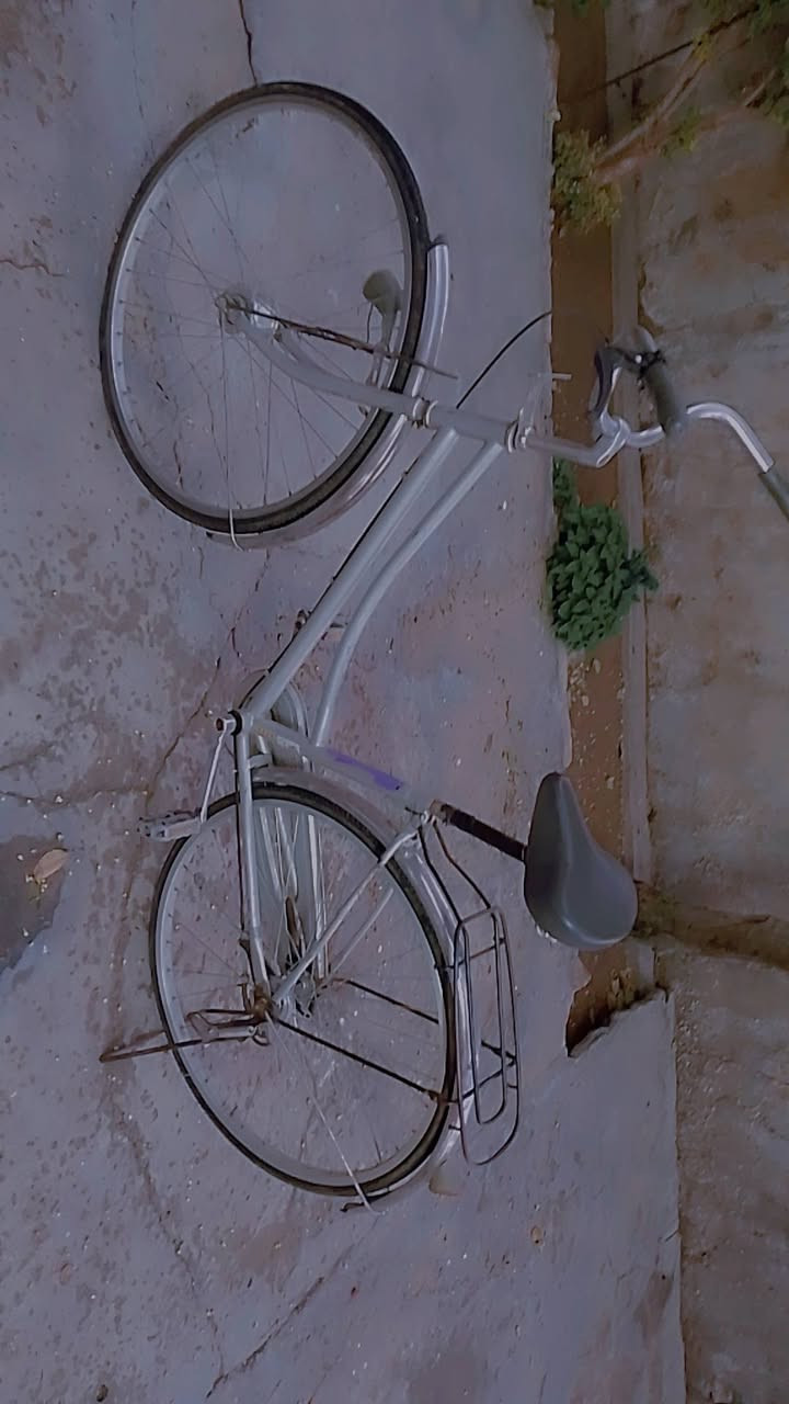 بايسكل ياباني للبيع بريكات كامل موجود امامي وخلفي كلوب حساس يشتغل السعر خاص


**إذا كنت صاحب هذا الإعلان وتريد حذفه لأي سبب، رجاءا أرسل رسالة إلى الدعم الفني**