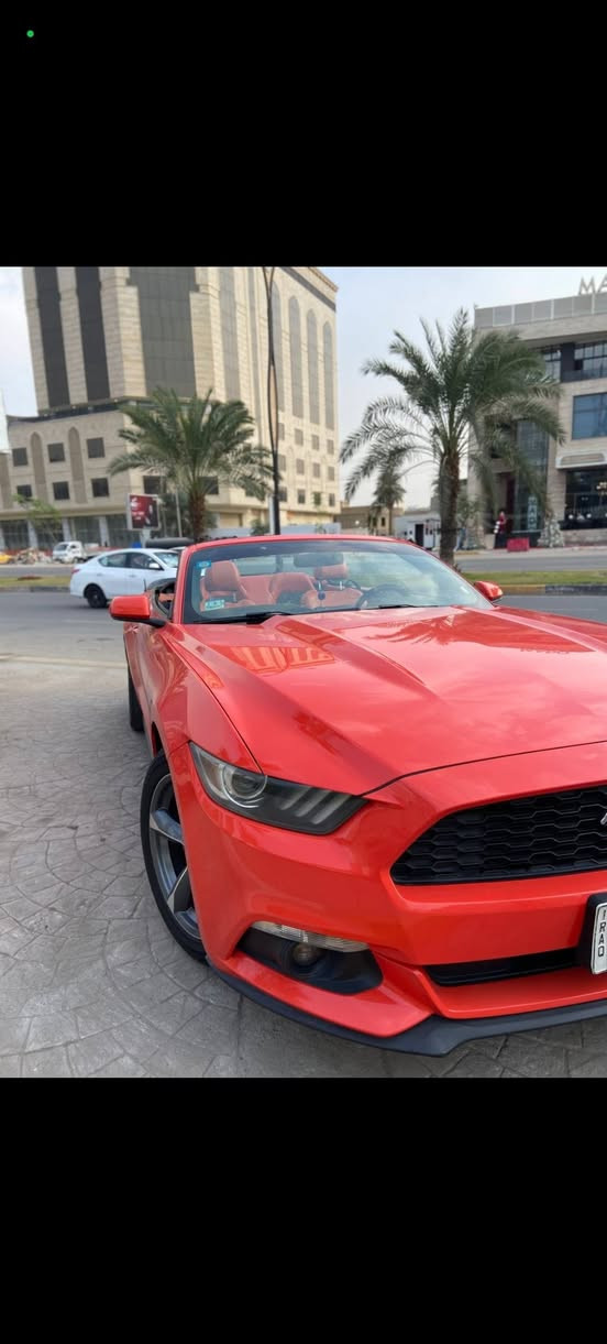 MUSTANG
موستنك 🐎 كشف 2015 برتقالي مميز 🍊

V6 سلندر & 3700

سيارة داخلة كلين تايتل (بالعراق صار بيها جاملغ خلف السايق فقط) 

كير محرك اكسل شركة برغي ما مفتوح بيهة

سيارة مكفول كفالة عامة 

ماشية 50 ميل 

للاستفسار اكثر اتصال على هذا الرقم

*********** 

مكان السيارة بغداد
