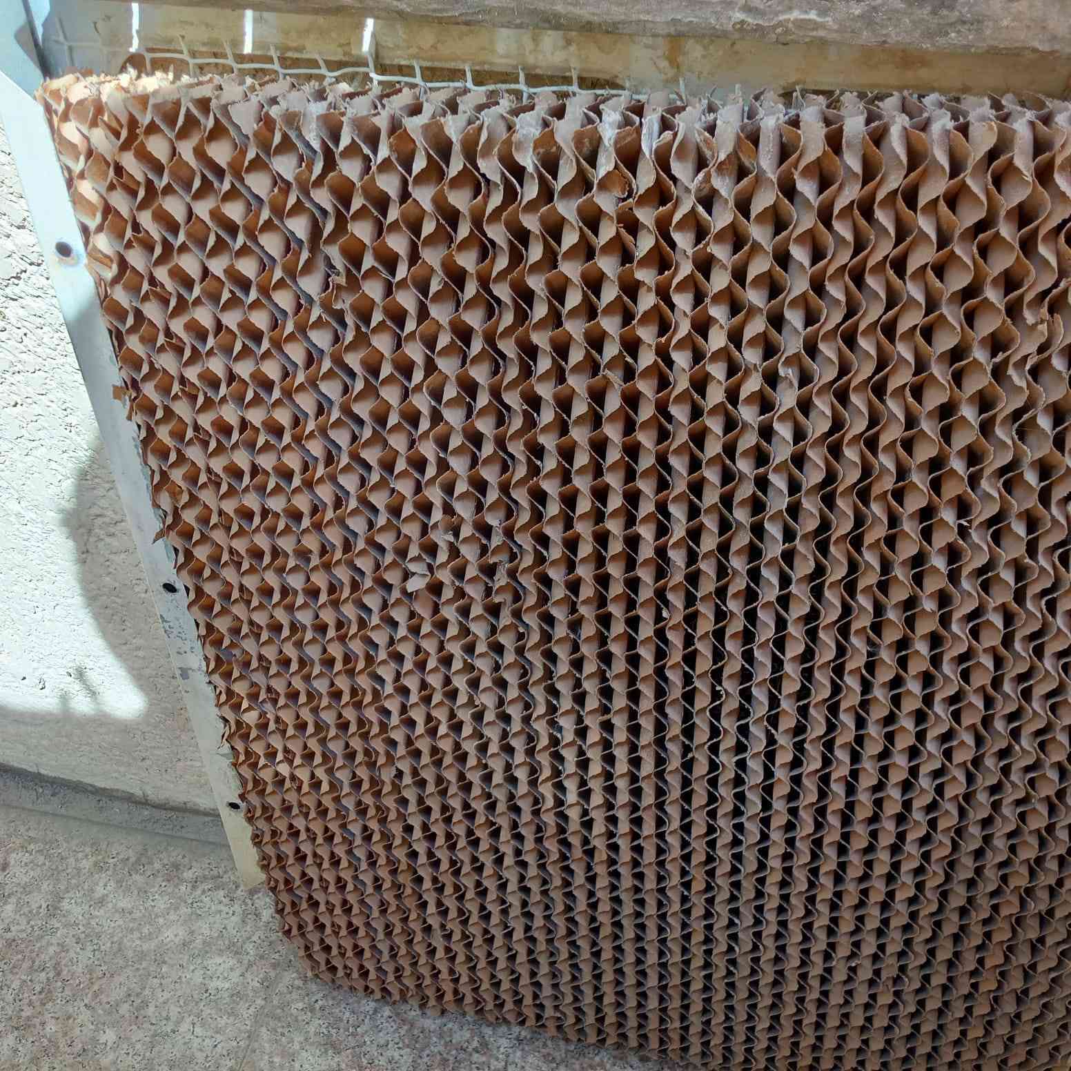 مبردة حجم وسط نضيفه استخدام موسم واحد هواها ثلج


**إذا كنت صاحب هذا الإعلان وتريد حذفه لأي سبب، رجاءا أرسل رسالة إلى الدعم الفني**