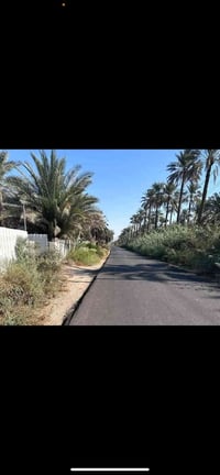 المدائن شارع سيد علي • دونم • طابو ملك صرف