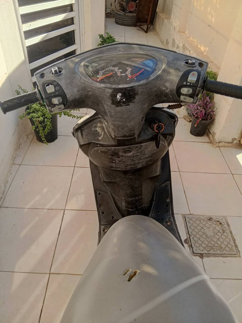 للبيع ماكس ثعلب مكينه ناعمه كهربائية شغاله نقص باتري ضعيف سعرهه 250 /***********
