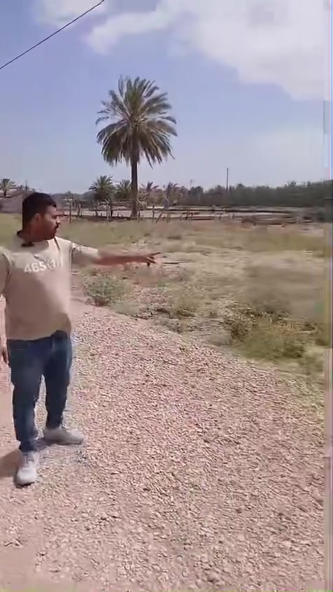 ***********
