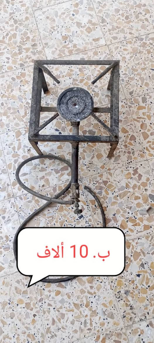 طباخات نضيفات وشغالات ع الفحص للبيع
الزغار على 10 الاف  والجبير ب  25 ألف 
***********
