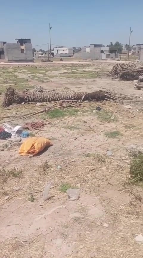 ع السلام عليكم قطعه أرض للبيع مساحه ٣٣٧ اونص تريد نص اتريده كله شارع تبليط بصف الشارع برغه   بارض بيت عاشور الاستفسار   ***********
