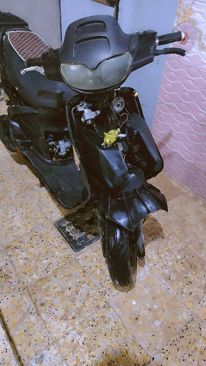 سلام عليكم فراشه فحل مكفولة سعر350 مكان نجف ***********
