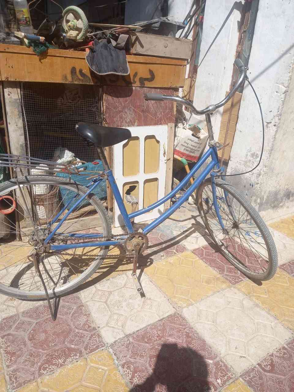 لسلام عليكم بايسكل للبيع كامل بس صينيه و جاملغات مابي السعر50وبي مجال لعنوان لناصري لشطر حي لشهدأ


**إذا كنت صاحب هذا الإعلان وتريد حذفه لأي سبب، رجاءا أرسل رسالة إلى الدعم الفني**