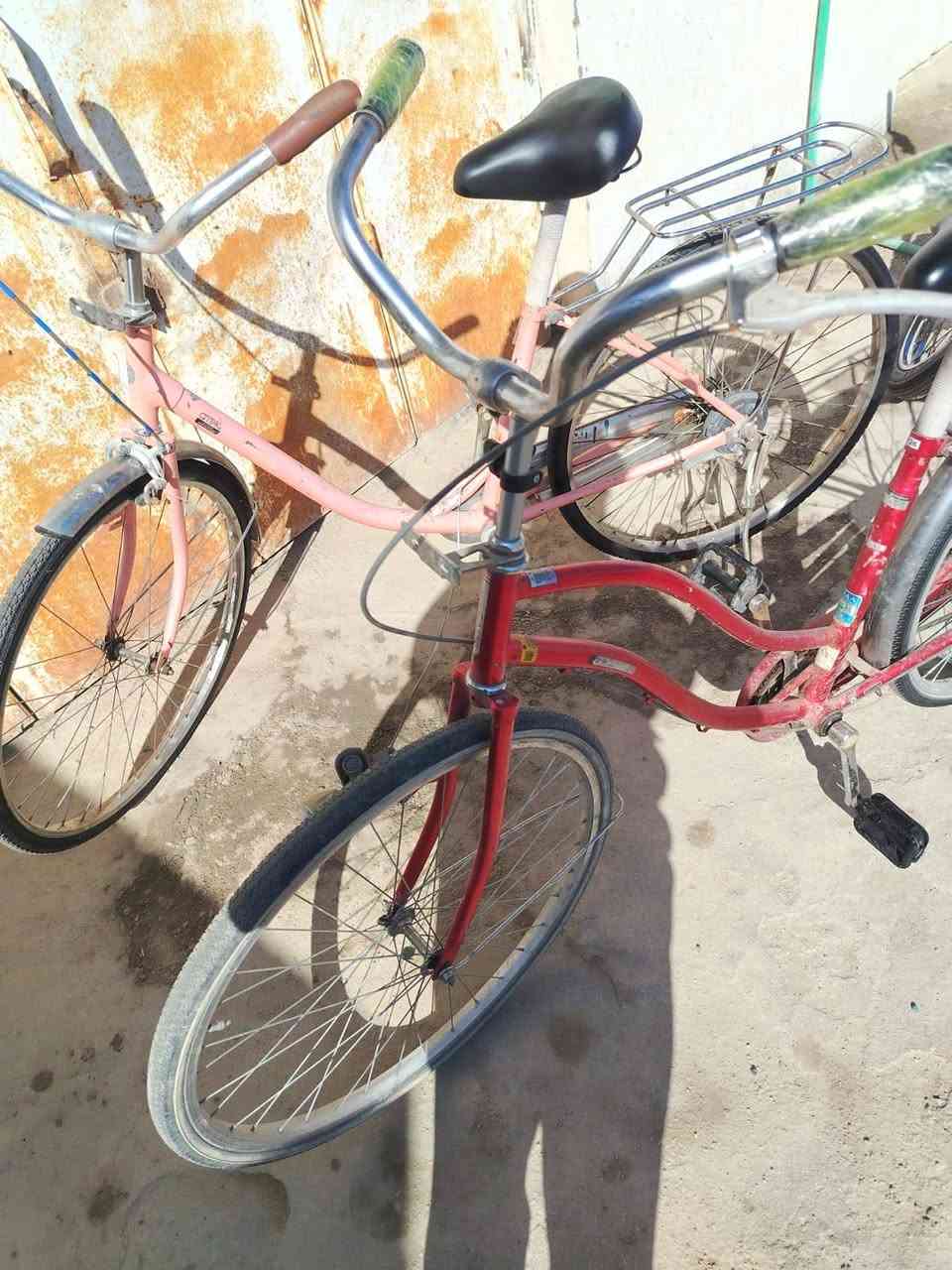 مكلف بالنشر
باسكلات نضاف للبيع    اتصل ع رقم. ‏‪***********‬‏ ‏‪***********‬‏
