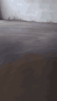 ما شاء الله على بركة الله كادر صب وتنظيف البيت الذي يوجد في تراب وسبيس...