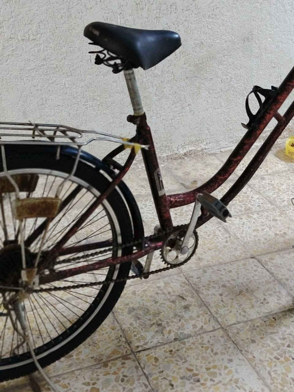 باسكل للبيع جديد بس سلة طاكة سعر ٨٠  ***********
