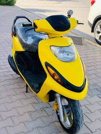 دولفين • ديوانية قضاء الشامية